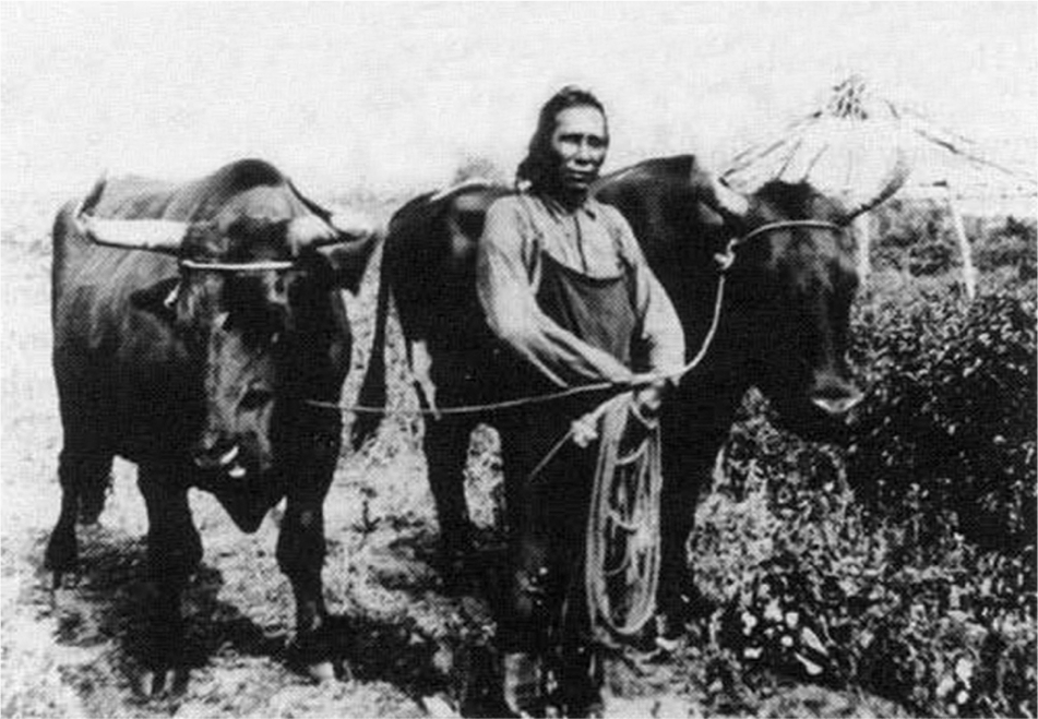 A First Nations Farmer