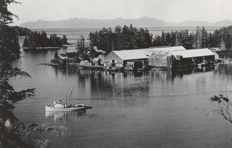 Archive photograph of salmon and herring cannery