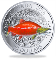 A collectible silver coin from the Royal Canadian Mint featuring a Sockeye Salmon