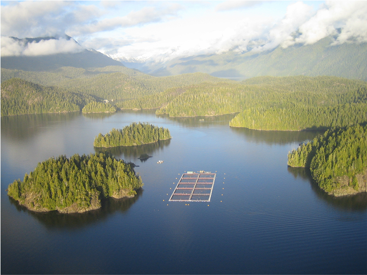 Fish farm near Tofino